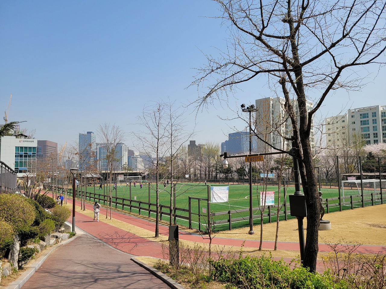 面性展示了