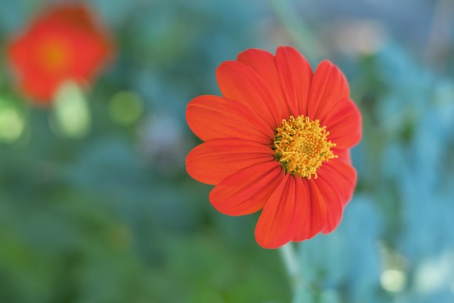 被誉为本轮 被誉为本轮