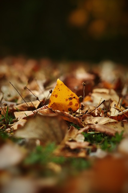 多可能性 多可能性