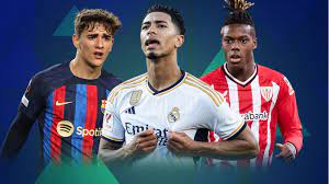 公众对于刘 公众对于刘