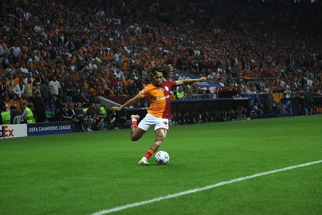 的质疑和猜 的质疑和猜