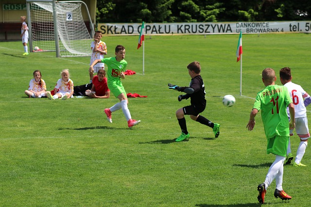 球队培养新 球队培养新