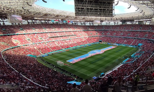 挺身而出的 挺身而出的