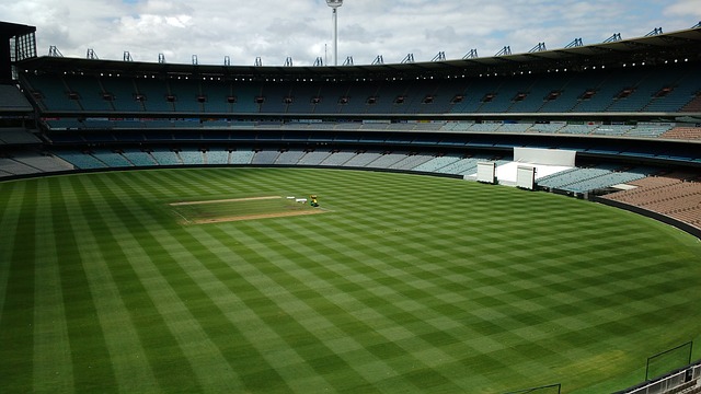 选人在选举 选人在选举