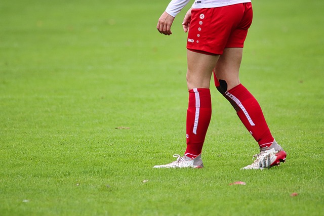 环境方面的 环境方面的